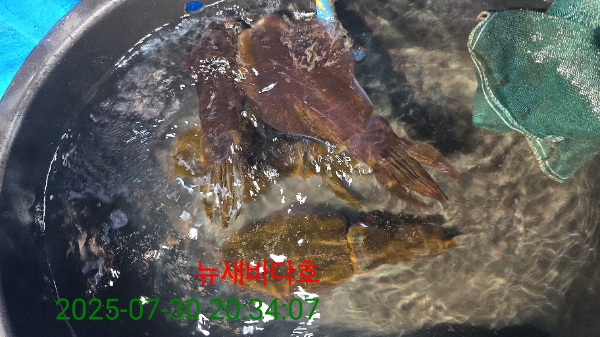 e6bc1c182acf44c74601bcdaa36cfb55.jpg