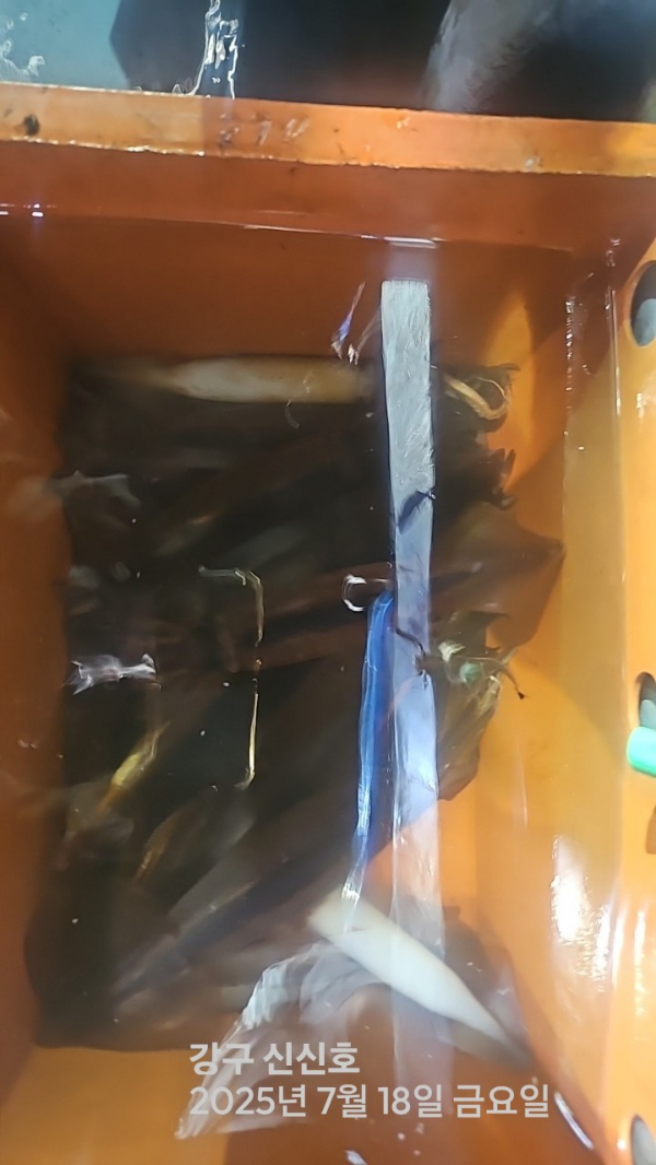 신신낚시 강구점 신신호_사진_20250718_5.jpg