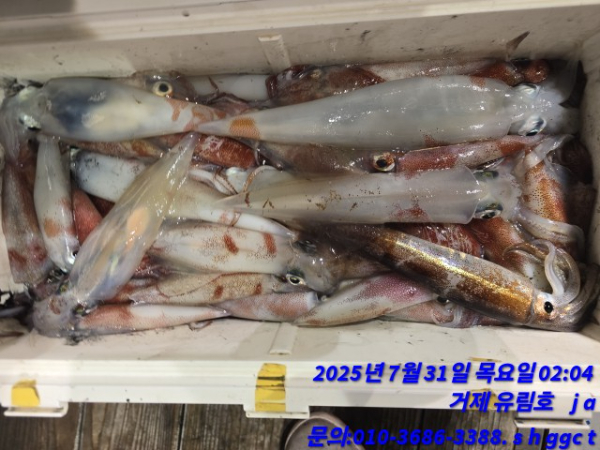 e8ce4089a0f0d877e8f866157bd1521f.jpg