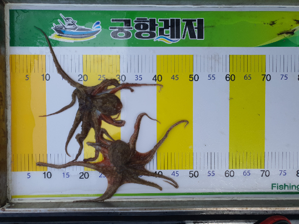 KakaoTalk_20250720_180640235_04.jpg