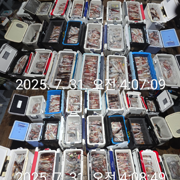 1000068137.jpg