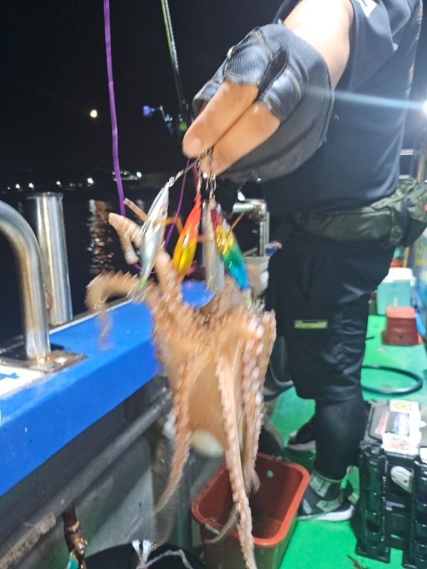 KakaoTalk_20250706_074729638_09.jpg