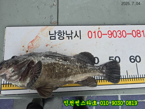 7월4 썬 (21).jpg