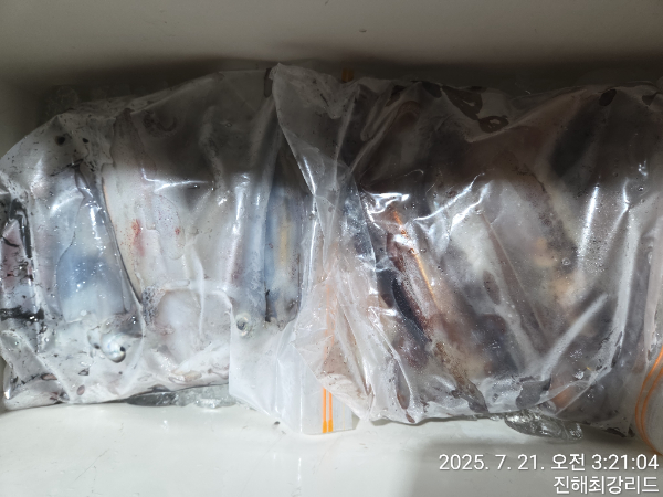 ebadaabe04548a0b8aebe99a23b11033.jpg