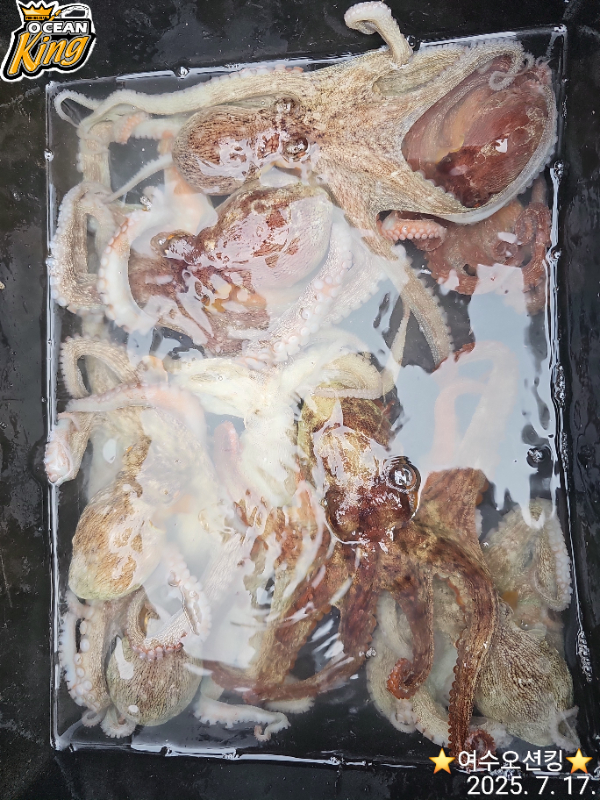 1000031080.jpg