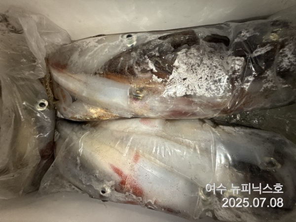 7월8일한치 (8).jpg