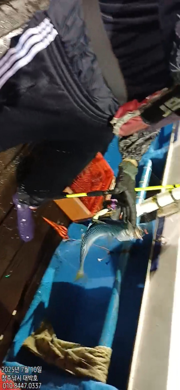 1000025779.jpg