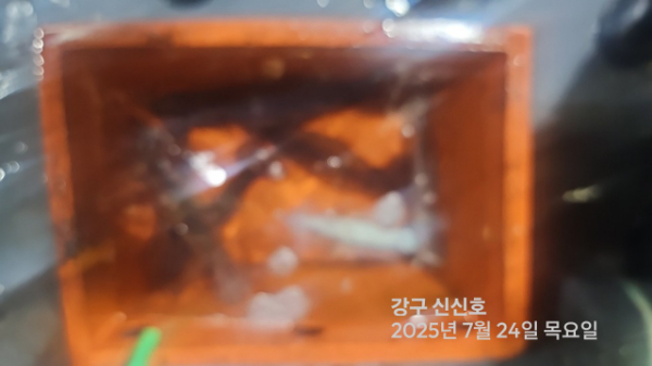신신낚시 강구점 신신호_사진_20250724_15.jpg