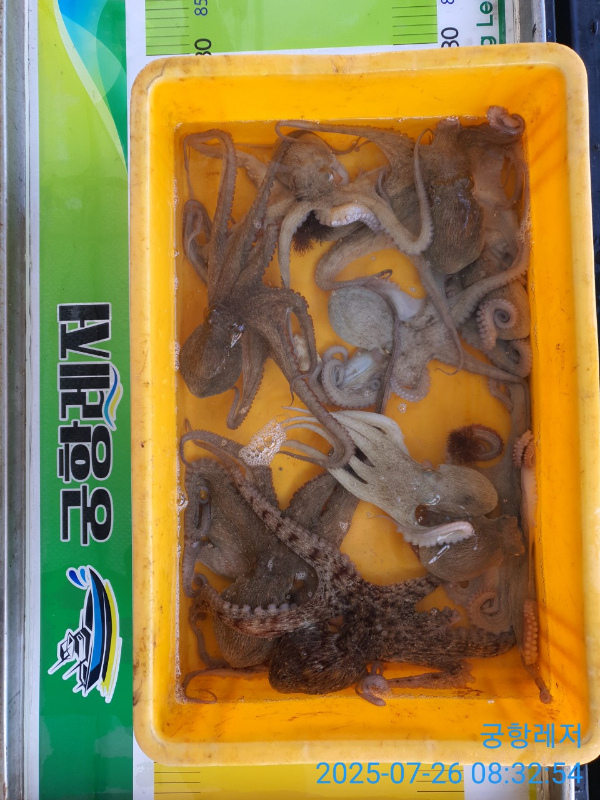 궁항레저_사진_20250727_4.jpg