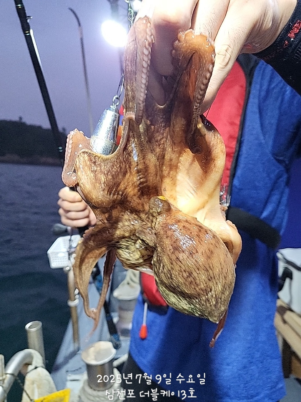 KakaoTalk_20250709_074040912.jpg