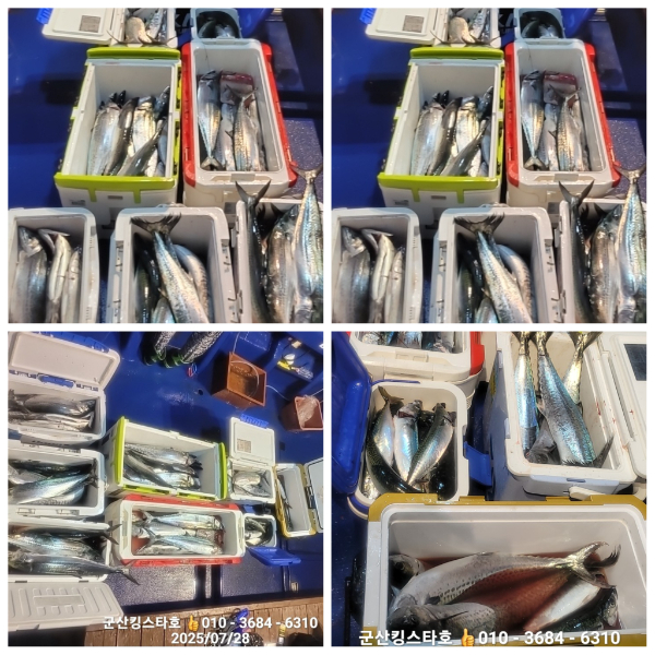 PhotoCollage_1753698680177.jpg