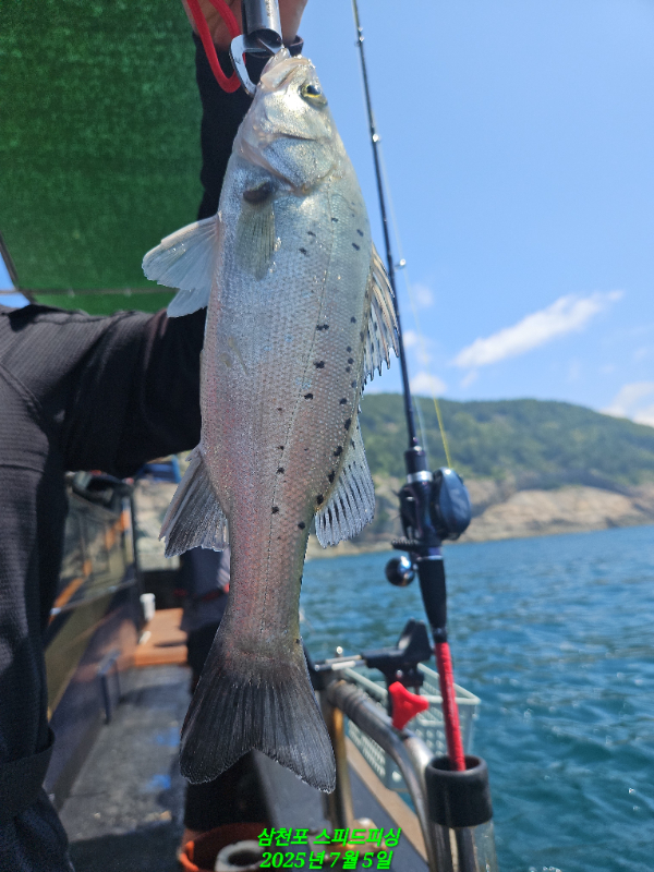 KakaoTalk_20250705_184623426_02.jpg