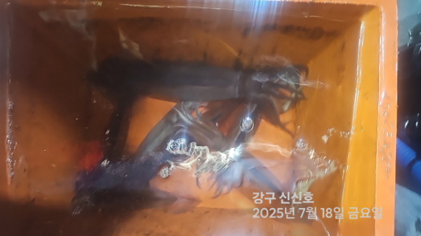 신신낚시 강구점 신신호_사진_20250718_15.jpg