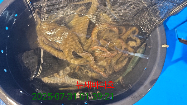 f1b3be796471a796a344cb59c4314320.jpg