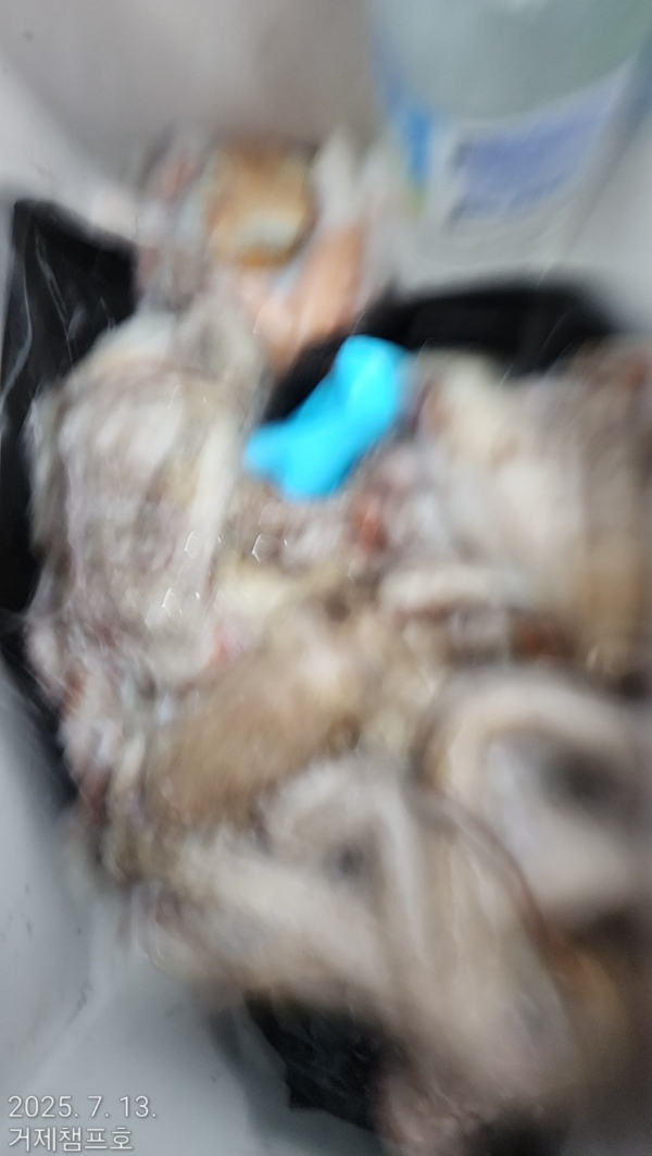 1000014807.jpg