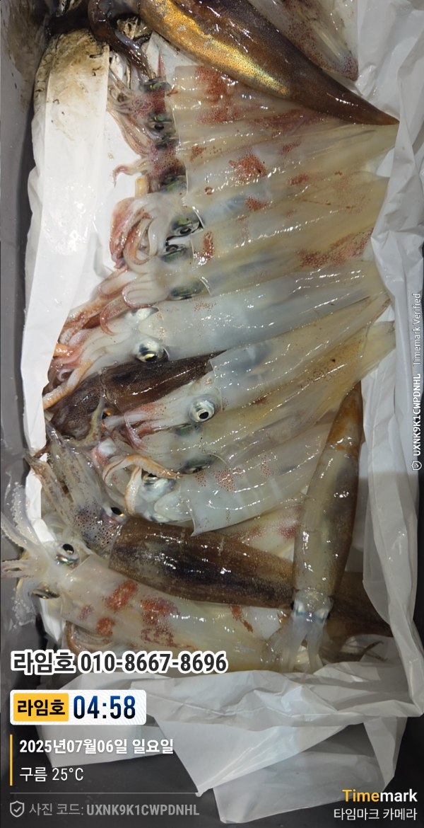 2025-07-06 04.58.02__(제목-라임호)_(라임호 010-8667-8696).jpg