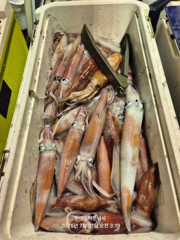 바다꾼낚시(신아라호)_사진_20250731_19.jpg