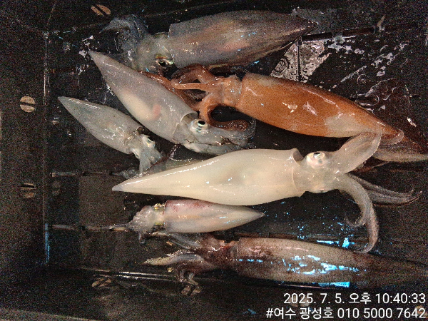 KakaoTalk_20250706_112615269_07.jpg