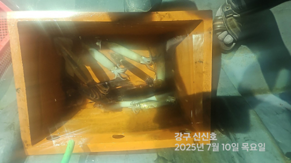 신신낚시 강구점 신신호_사진_20250710_7.jpg