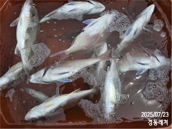 슬라이드0004.jpg