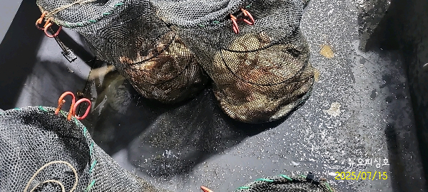 DateCamera0715024551.jpg