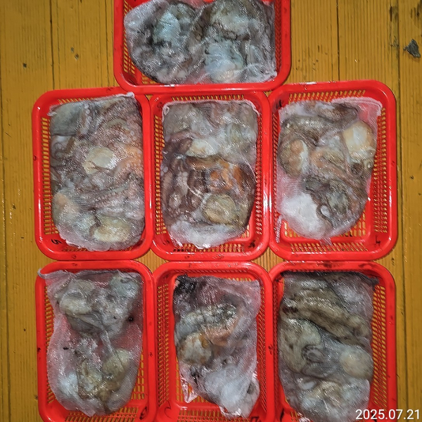 성진피싱 (진해 수도)_사진_20250721_13.jpg