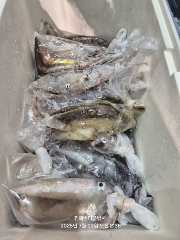 바다꾼낚시(신아라호)_사진_20250703_11.jpg