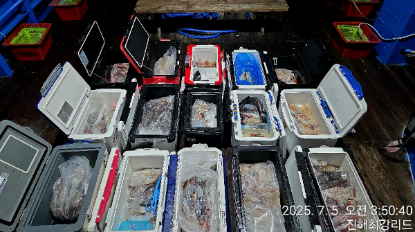 f81c26242ff7283a0b265d77fae49c38.jpg