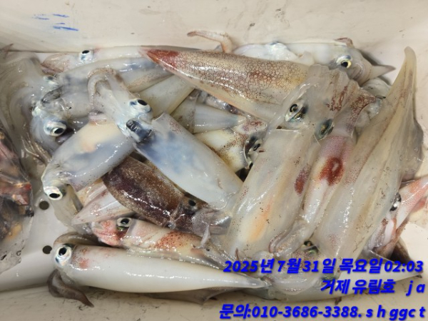f81f78fe5d96dbd686e2d2c7d015bf48.jpg