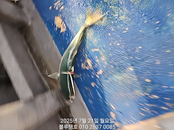 20250721_061823.jpg