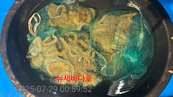 f90eaac9bdeda95f76edc8cc39df6f8d.jpg