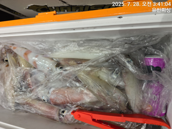 유빈피싱_사진_20250728_5.jpg