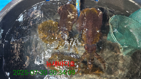 f9733de60933455c7971d5df54f764e1.jpg