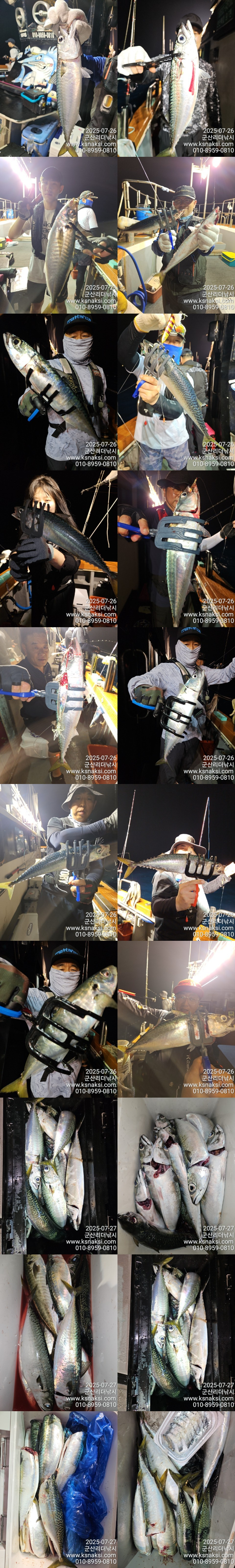 0727고등어.jpg