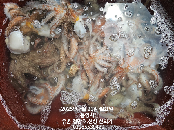 fa6ad1f6c8a9cbeaf48b8d6162283cc3.jpg