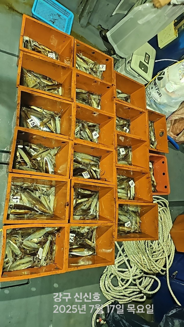 신신낚시 강구점 신신호_사진_20250717_14.jpg