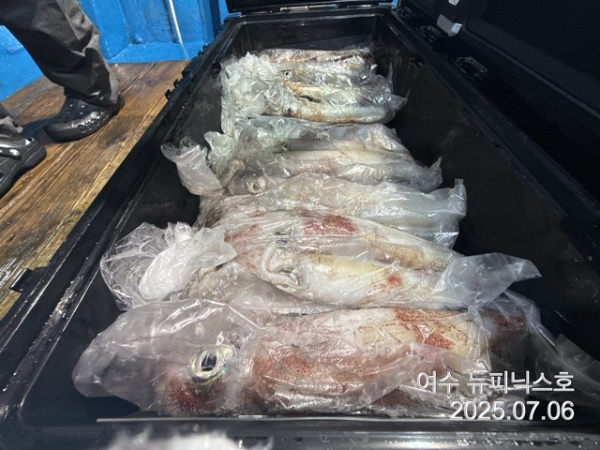 7월6일한치 (12).jpg