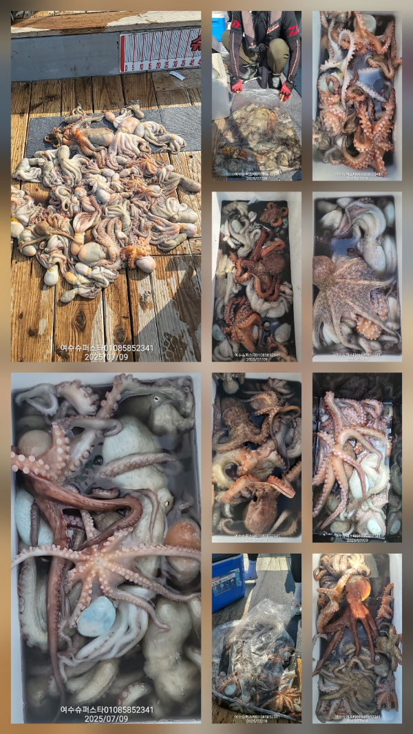 fb005aac5b080653edd7792f50797cc4.jpg