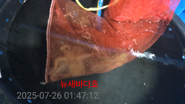 fb3340c4cac78adf00b0718928095ef2.jpg