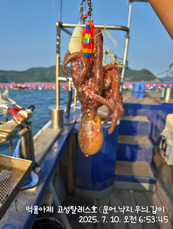 IMG_20250710_065345.jpg