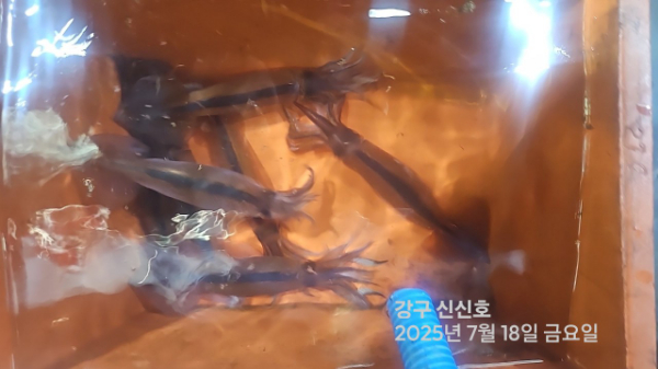 신신낚시 강구점 신신호_사진_20250718_16.jpg