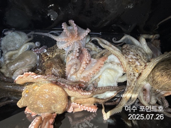 fdac45e2597225acb1dd758a64718d32.jpg