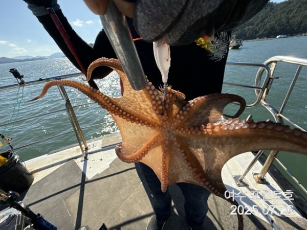 fe188e5399108ed7809e2edb20f14f89.jpg