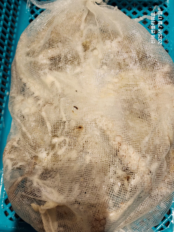 1000072247.jpg