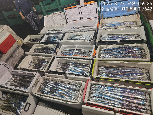 KakaoTalk_20250827_180442912_13.jpg