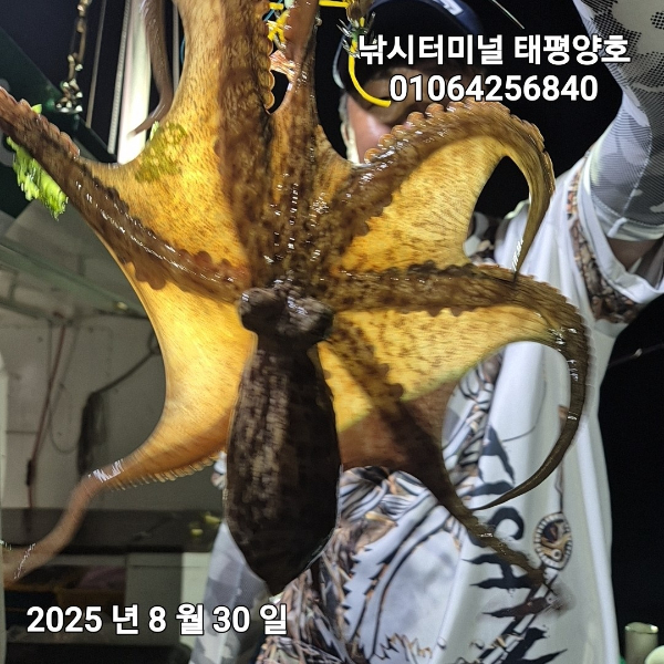 KakaoTalk_20250831_023840329_10.jpg