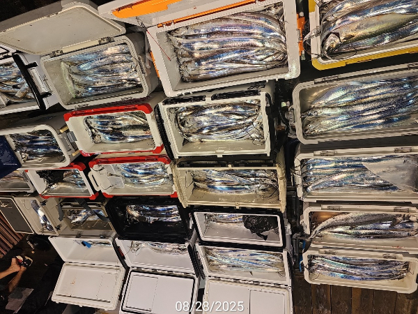 836099D7-C181-4E66-B7DD-D1DD579C60E1.jpeg