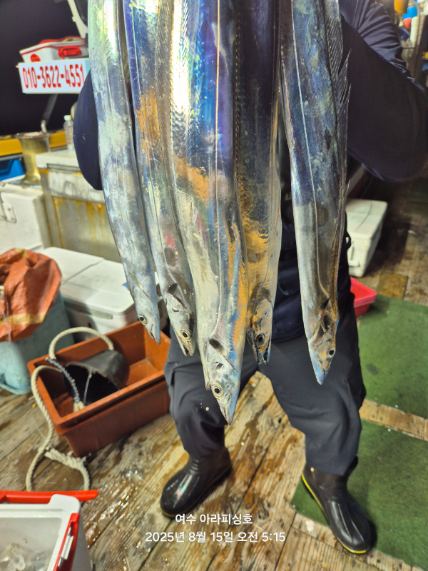 Resized_20250815_051537.jpeg