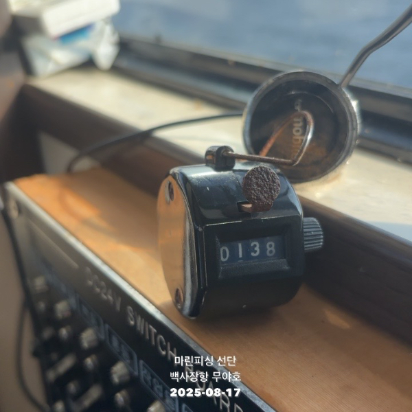 TC_08457.jpeg