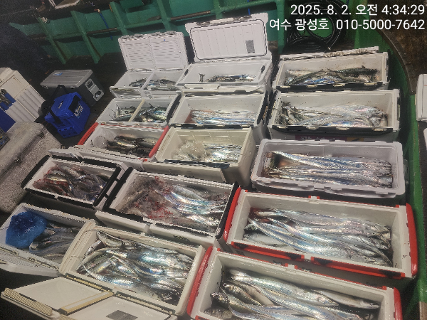 KakaoTalk_20250802_072714062_06.jpg
